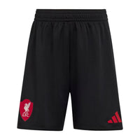 Liverpool 25/26 Away Football Mini Kit