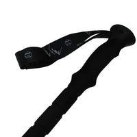 Stride Walking Pole (Pair)