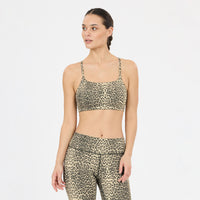 Women's Windia V2 Printed Sports Bra