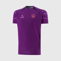 Falkirk 26/27 Players Training Football T-Shirt Jnr