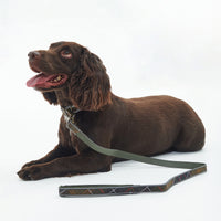 Reflective Tartan Dog Comfort Lead