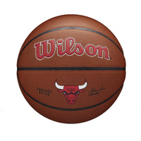 NBA Team Alliance Chicago Bulls Basketball