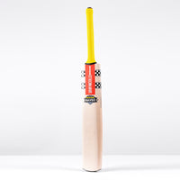 Havoc 1.0 HB317 Warriors Cricket Bat