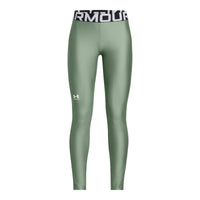 UA Heatgear Leggings Junior