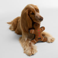 Gingerbread Christmas Dog Toy