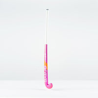 GT 4 Hockey Stick