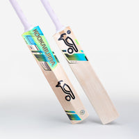 Rapid 4.1 Junior Cricket Bat
