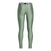 UA Heatgear Leggings Junior