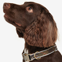 Reflective Tartan Dog Collar