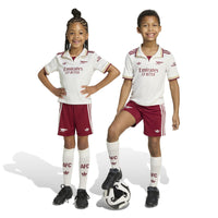 Arsenal 25/26 3rd Football Mini Kit