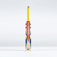 Havoc 1.0 HB317 Warriors Junior Cricket Bat