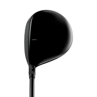 GTS300 Mini Golf Driver
