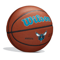 NBA Team Alliance Charlotte Hornets Basketball
