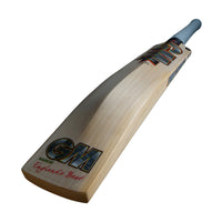 Rival DXM 404 Junior Cricket Bat