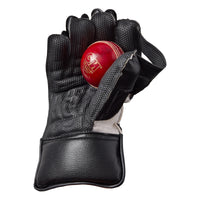 Rival Wicket Keeping Cricket Gloves