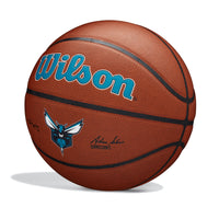 NBA Team Alliance Charlotte Hornets Basketball