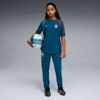 Portugal 26 Training Football Pants Jnr
