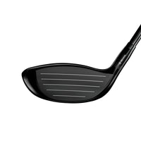 GTS300 Mini Golf Driver