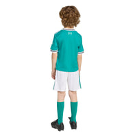 Liverpool 25/26 3rd Football Mini Kit