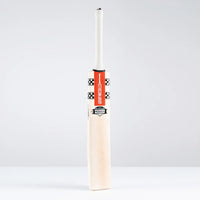 Power Scoop 500 Cricket Bat