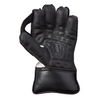 Rival Wicket Keeping Cricket Gloves