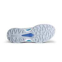 Golf Biom C5 GTX Golf Shoes