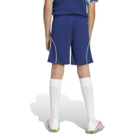 Ajax 25/26 Away Football Shorts Jnr