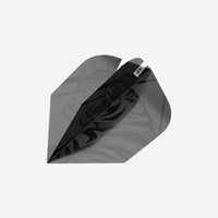 Raymond van Barneveld Ink Flight & Shaft Bundle