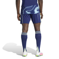 Ajax 25/26 Away Football Shorts