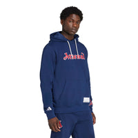 Arsenal US Hoodie