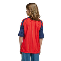 Spain 26 Home Football Shirt Jnr