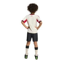 Liverpool 25/26 Away Football Mini Kit