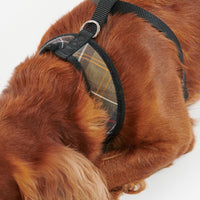 Dog Harness