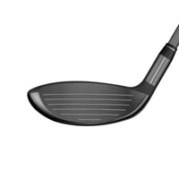 Quantum Mini Spinner Fairway