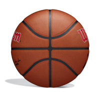 NBA Team Alliance Toronto Raptors Basketball