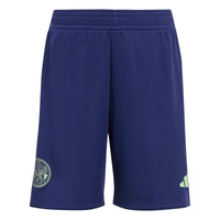 Ajax 25/26 Away Football Mini Kit