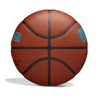 NBA Team Alliance Charlotte Hornets Basketball