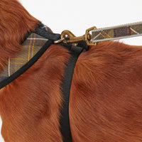 Dog Harness