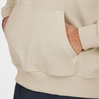 Willard Technical Half-Zip Hoody