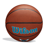 NBA Team Alliance Charlotte Hornets Basketball