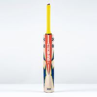 Havoc 1.0 HB317 Warriors Cricket Bat