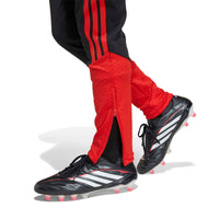 Belgium 26 Training Football Pants Jnr