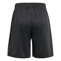 Juventus 25/26 Home Football Mini Kit