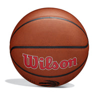 NBA Team Alliance Toronto Raptors Basketball