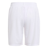 Ajax 25/26 Home Football Mini Kit