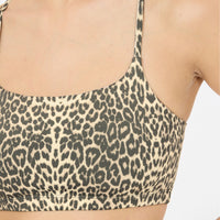 Women's Windia V2 Printed Sports Bra