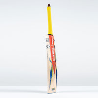 Havoc HB317 GN330+ Cricket Bat
