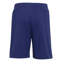 Ajax 25/26 Away Football Mini Kit