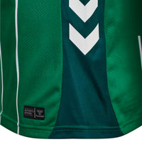 Werder Bremen 25/26 Home Football Shirt