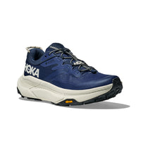 Transport GTX Walking Shoes